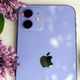 Image for article titled Here's the Purple iPhone 12 Next to Other Purple Things